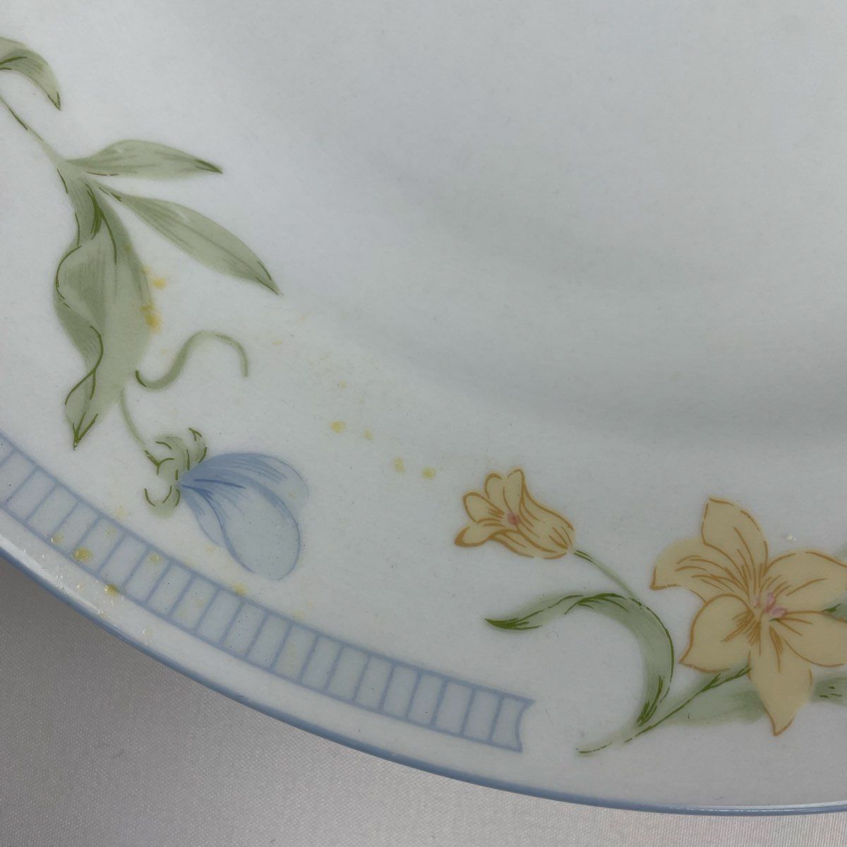 Excel Garden Bouquet Dinner Plates Set of 8