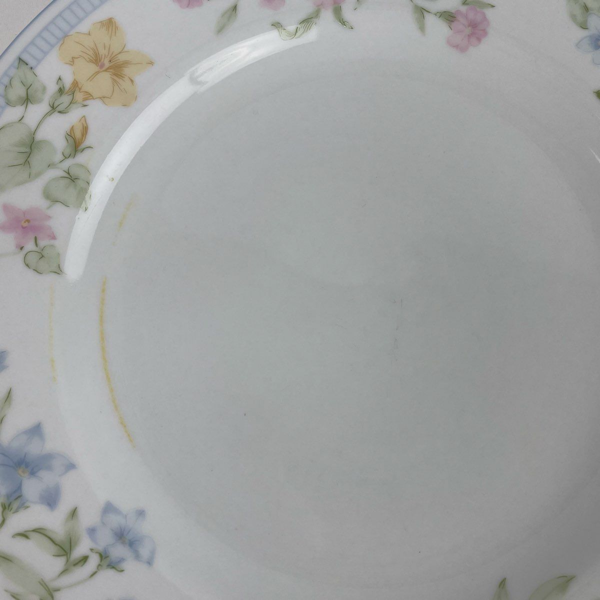 Excel Garden Bouquet Dinner Plates Set of 8